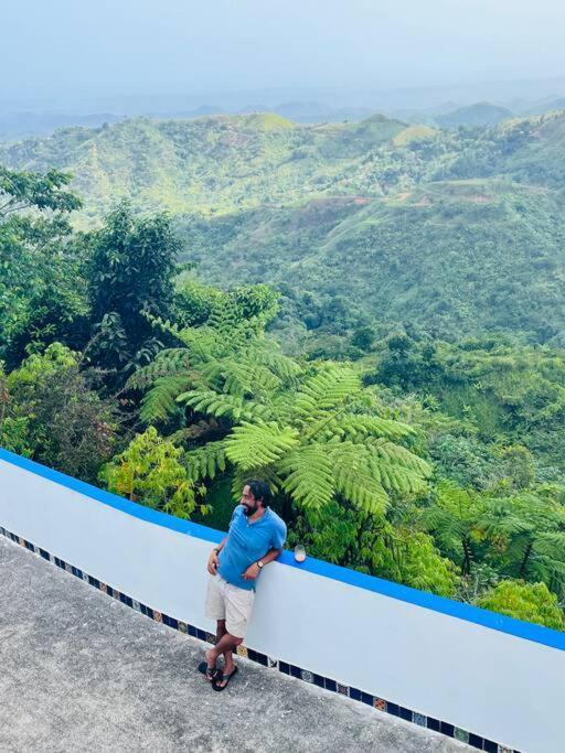 Villa Verde Luz: A Virgin Forest Yauco Exterior foto