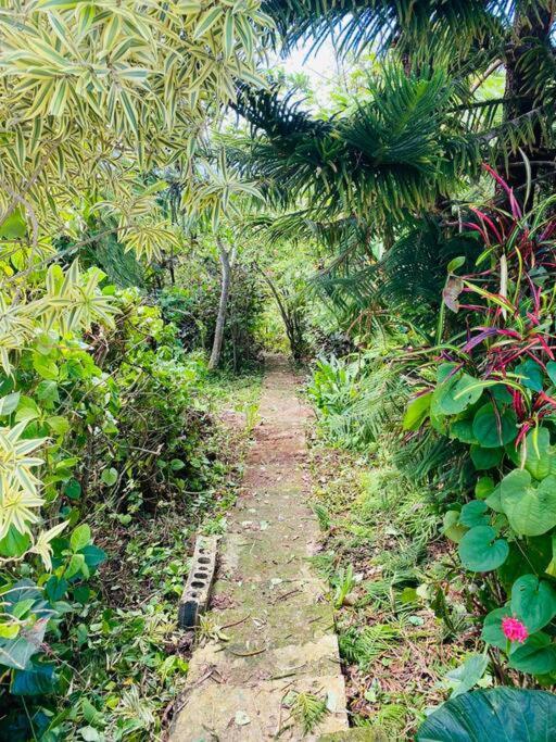 Villa Verde Luz: A Virgin Forest Yauco Exterior foto