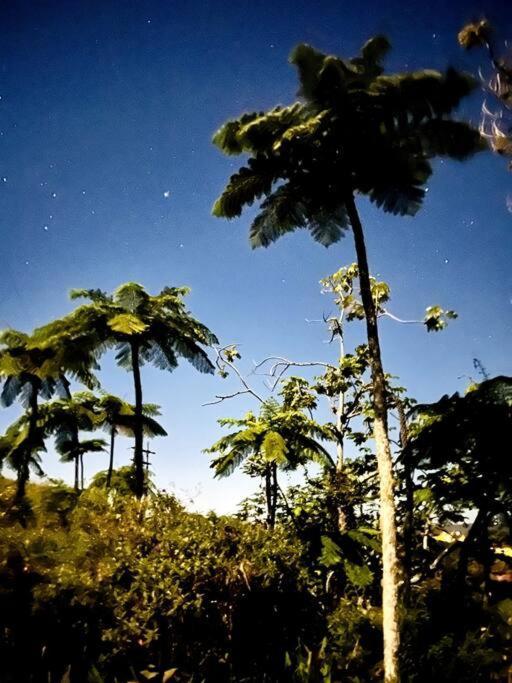 Villa Verde Luz: A Virgin Forest Yauco Exterior foto